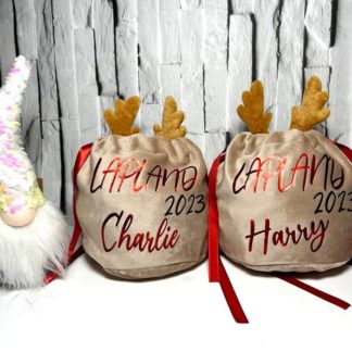 Lapland Reveal Reindeer Gift Bag Name Examples