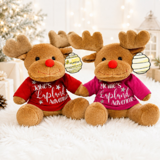 Personalised "Lapland Adventure" Reindeer