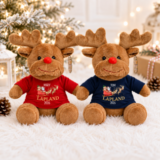 Personalised "Santa and His Sleigh" Hooded T-Shirt Reindeer