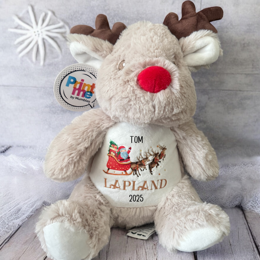 Personalised Light Reindeer Santa and His Sleigh
